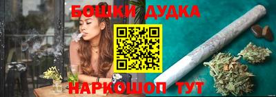 индика Камышлов