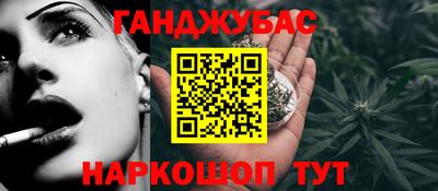 индика Камышлов