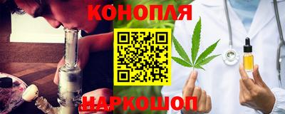индика Камышлов