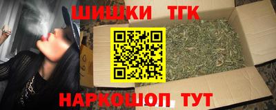 индика Камышлов