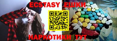 индика Камышлов