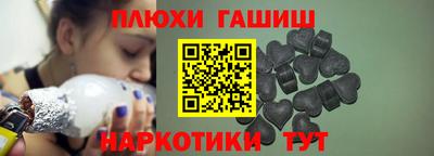 индика Камышлов