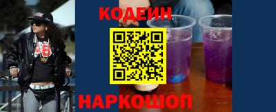 индика Камышлов