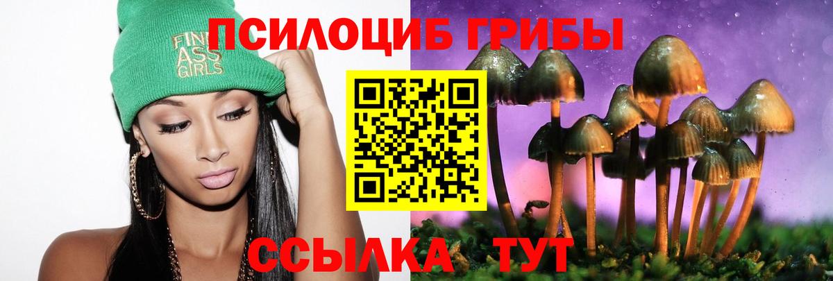 Краснокаменск  Галлюциногенные грибы мухоморы  Галлюциногенные грибы прущие грибы  Вход с VPN 